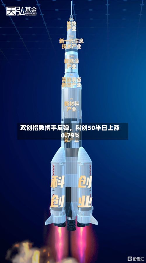 双创指数携手反弹	，科创50半日上涨0.79%-第2张图片