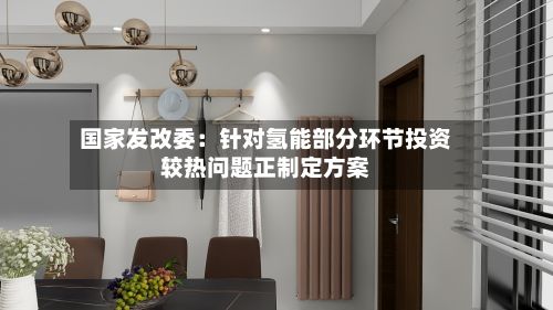 国家发改委:针对氢能部分环节投资较热问题正制定方案-第2张图片