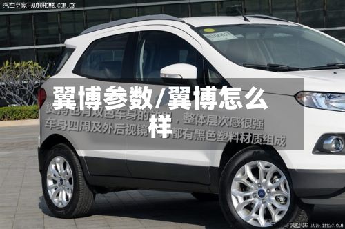 翼博参数/翼博怎么样