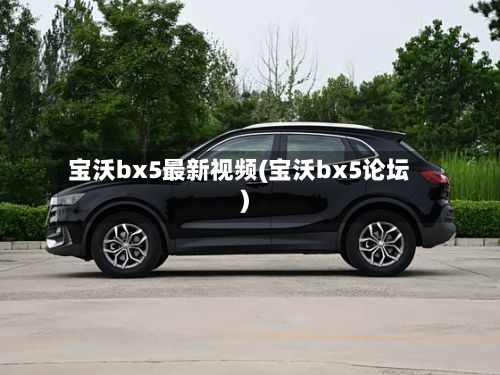 宝沃bx5最新视频(宝沃bx5论坛)-第2张图片