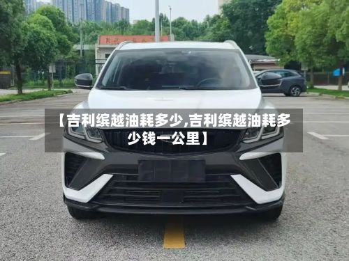 【吉利缤越油耗多少,吉利缤越油耗多少钱一公里】-第2张图片