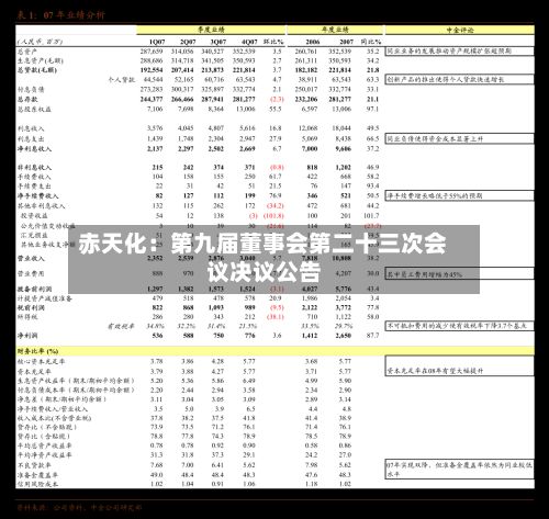 赤天化：第九届董事会第二十三次会议决议公告