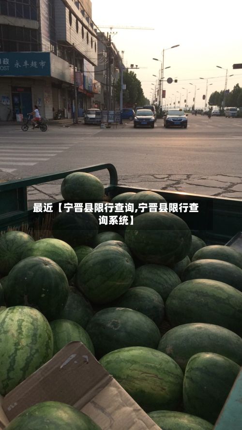 最近【宁晋县限行查询,宁晋县限行查询系统】