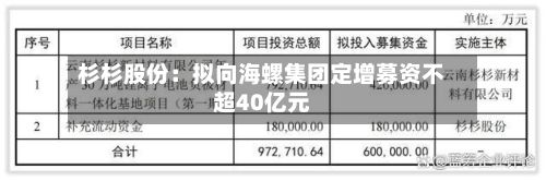 杉杉股份：拟向海螺集团定增募资不超40亿元