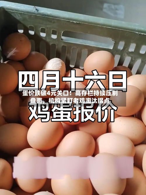 蛋价跌破4元关口！高存栏持续压制盘面	，机构紧盯老鸡淘汰拐点-第3张图片