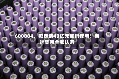 600884，拟定增40亿元加码锂电！海螺集团全额认购