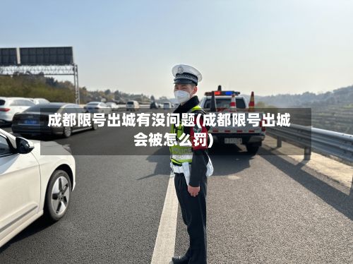 成都限号出城有没问题(成都限号出城会被怎么罚)-第3张图片