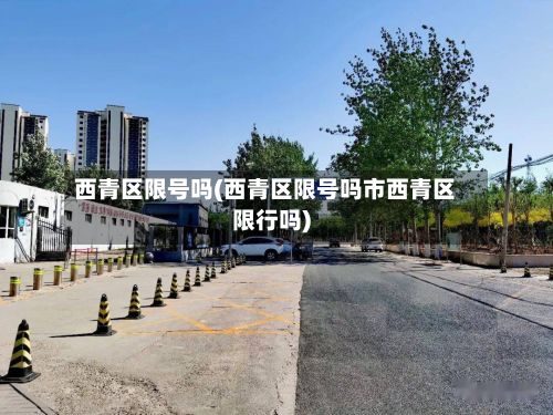 西青区限号吗(西青区限号吗市西青区限行吗)-第2张图片
