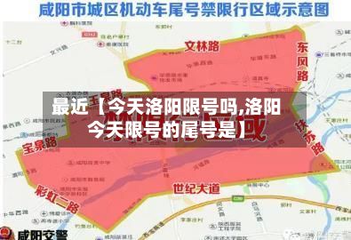 最近【今天洛阳限号吗,洛阳今天限号的尾号是】-第2张图片