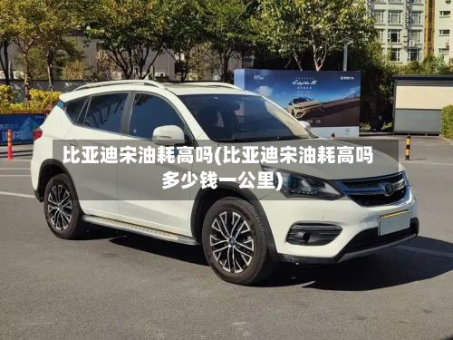 比亚迪宋油耗高吗(比亚迪宋油耗高吗多少钱一公里)-第2张图片