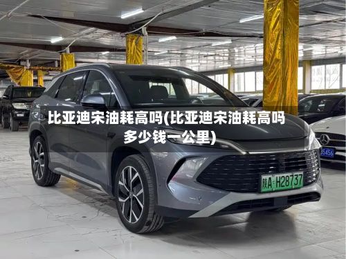 比亚迪宋油耗高吗(比亚迪宋油耗高吗多少钱一公里)