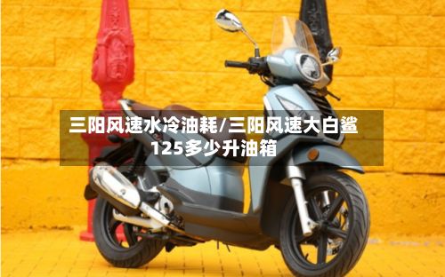 三阳风速水冷油耗/三阳风速大白鲨125多少升油箱-第1张图片