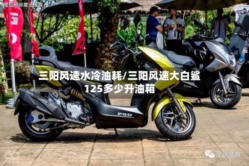 三阳风速水冷油耗/三阳风速大白鲨125多少升油箱-第2张图片