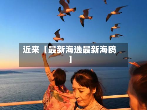 近来【最新海选最新海鸥】