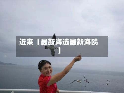 近来【最新海选最新海鸥】-第2张图片