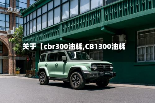 关于【cbr300油耗,CB1300油耗】