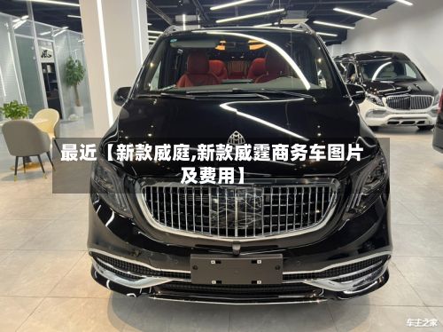 最近【新款威庭,新款威霆商务车图片及费用】-第2张图片