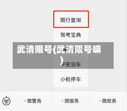 武清限号(武清限号嘛)-第3张图片