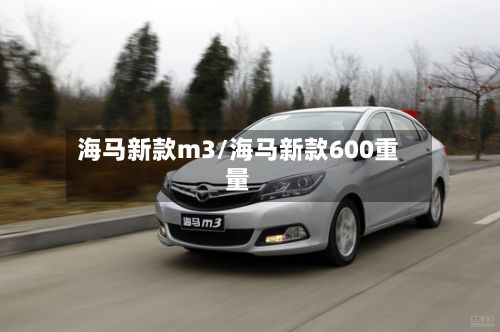 海马新款m3/海马新款600重量