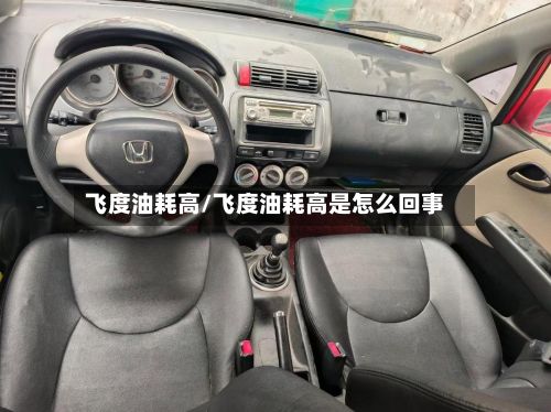 飞度油耗高/飞度油耗高是怎么回事