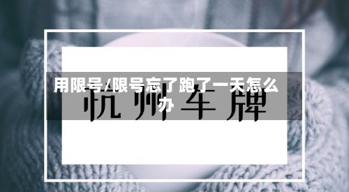 用限号/限号忘了跑了一天怎么办-第3张图片