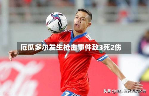厄瓜多尔发生枪击事件致3死2伤-第3张图片