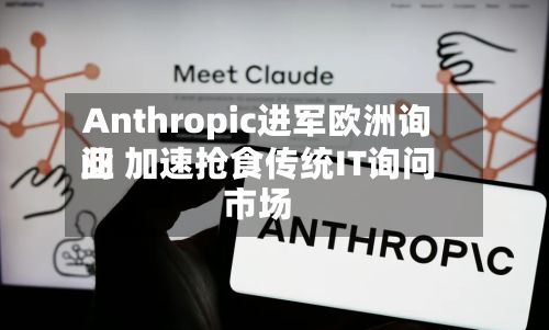Anthropic进军欧洲询问业 加速抢食传统IT询问市场-第3张图片