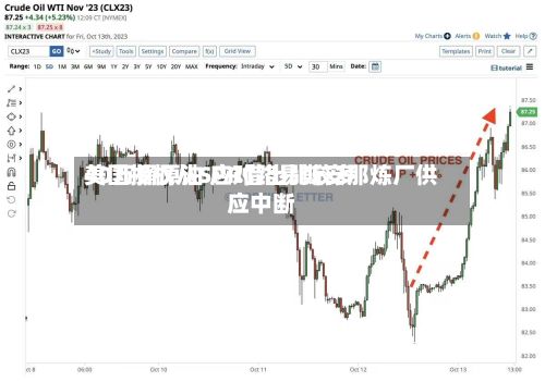 美国授权从SPR借出比较多40万桶原油 应对路易斯安那炼厂供应中断