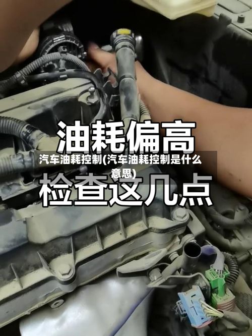 汽车油耗控制(汽车油耗控制是什么意思)